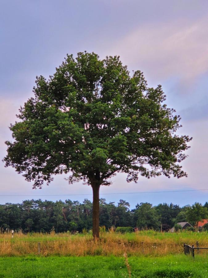 Ferienbauernhof De Slaaphoeve Emlichheim Exteriér fotografie