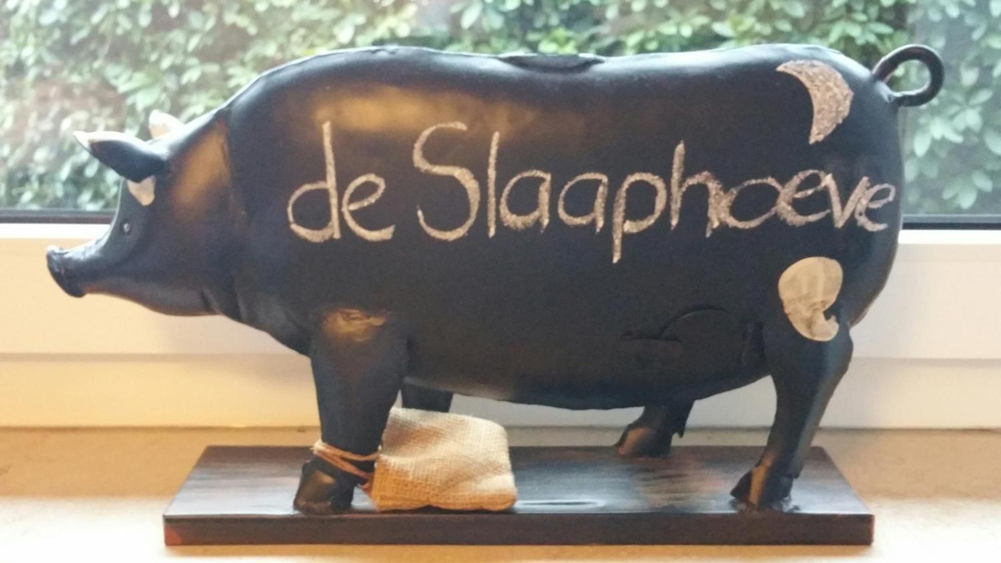 Ferienbauernhof De Slaaphoeve Emlichheim Exteriér fotografie
