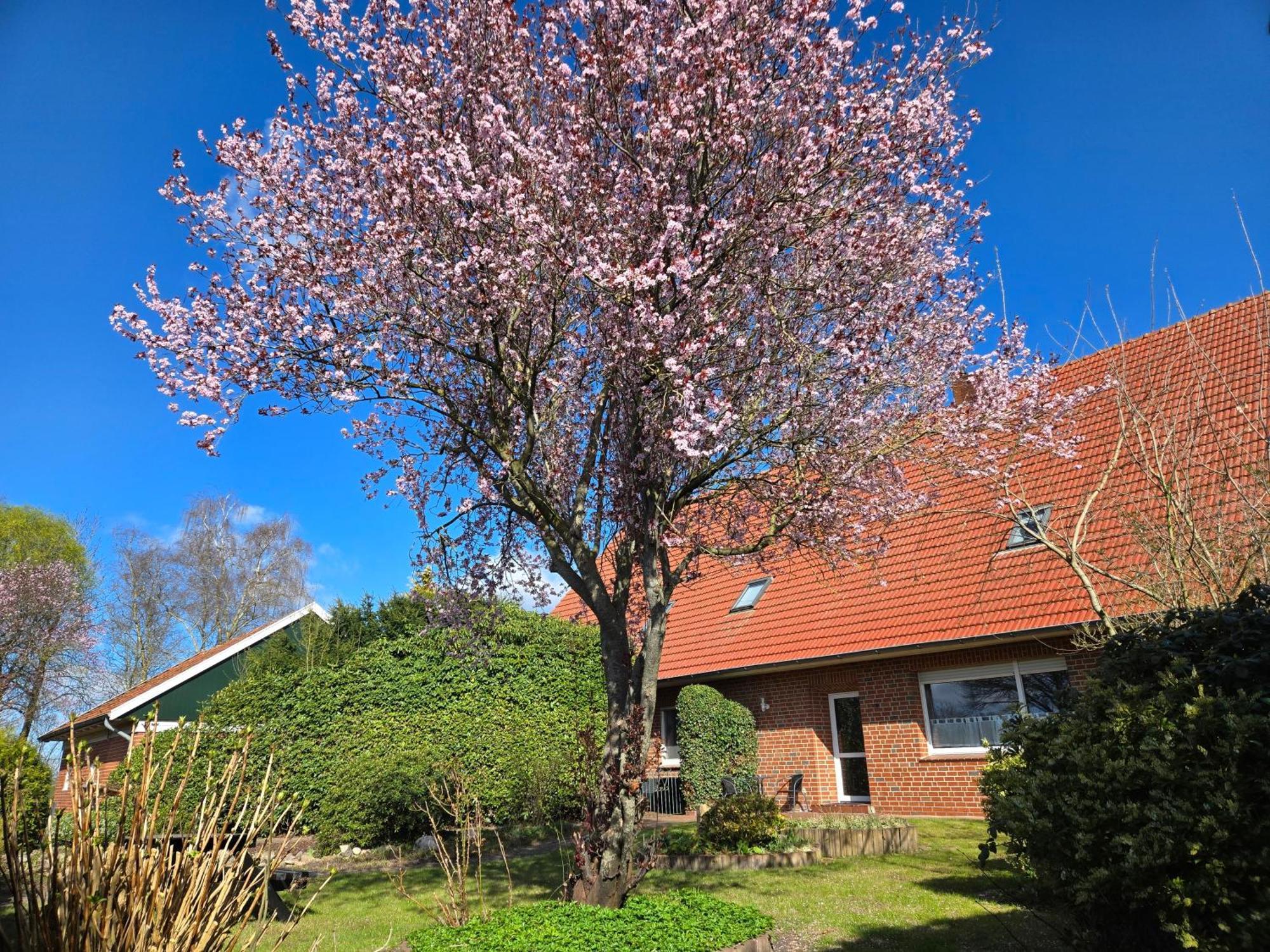 Ferienbauernhof De Slaaphoeve Emlichheim Exteriér fotografie